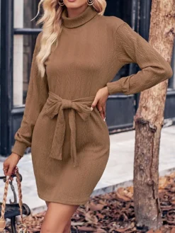 Women‘s Christmas Sweater Dress Jumper Dress Winter Dress Fashion Outdoor Christmas Street Daily Turtleneck Long Sleeve Lace Up 2023 Regular Fit Black Wine Brown S M L XL -Fashion Life Shop lmgdxy1693539401587