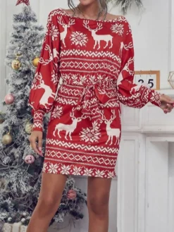 Women's Casual Dress Christmas Dress Sheath Dress Stripe Snowflake Lace Up Print Crew Neck Mini Dress Fashion Modern Christmas Daily Long Sleeve Regular Fit Red Fall Winter S M L